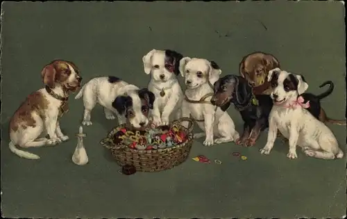 Ak Junge Hunde, Welpen, Dackel, Korb, Milchflasche