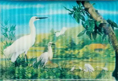 3-D Ak Kraniche, Weißes Gefieder, Fliegende Vögel, Heron