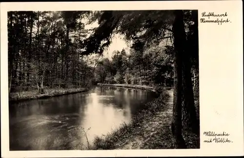 Ak Himmelpfort Fürstenberg, Waldpartie mit Woblitz