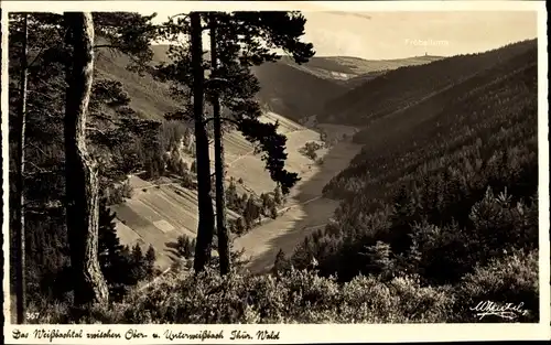 Ak Oberweißbach im Weißbachtal Thüringen, Weißbachtal