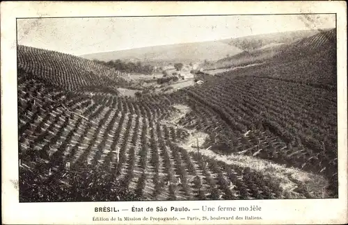 Ak São Paulo Brasilien, Une ferme mojele