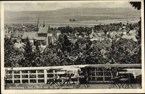 Ak Ziębice Münsterberg Schlesien, Blick von der Hartmannbaude