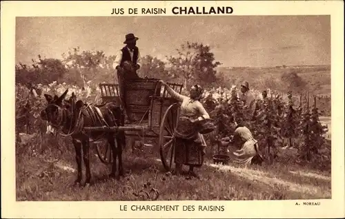 Ak Reklame, Jus de Raisin Challand, le Chargement des Raisins, Weinlese