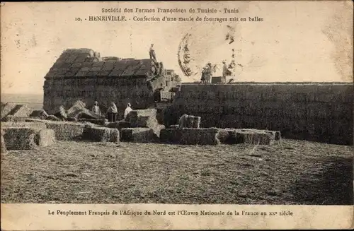 Ak Henriville Tunesien, Confection d'une meule de fourrages mis en balles