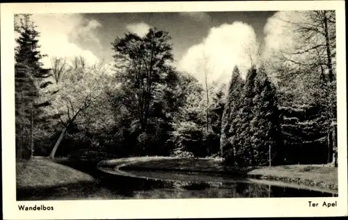 Ak Ter Apel Groningen, Wandelbos