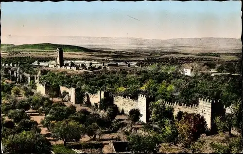 Ak Mansourah Algerien, Vue Generale