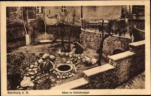 Ak Bernburg a.d. Saale, Der Schloßzwinger mit Bären