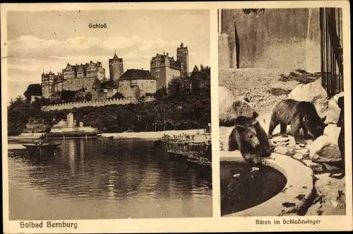 Ak Bernburg an der Saale, Schloss, Bären im Schloßzwinger