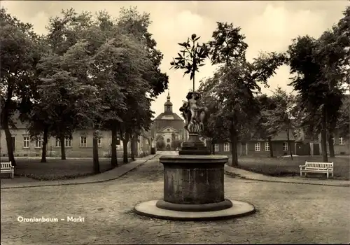 Ak Oranienbaum Wörlitz in Anhalt, Markt