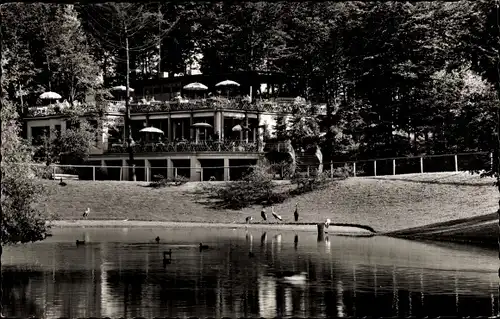 Ak Dortmund im Ruhrgebiet, Tierpark, Raststätte, Alfred Beimdick, Teich