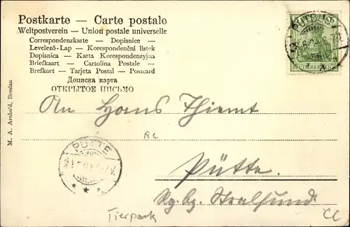 Ak Putbus auf der Insel Rügen, Fürstl. Tierpark , Wild