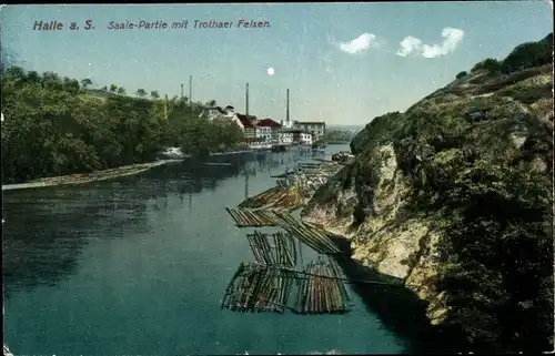 Ak Halle an der Saale, Flusspartie mit Trothaer Felsen, Baumstämme