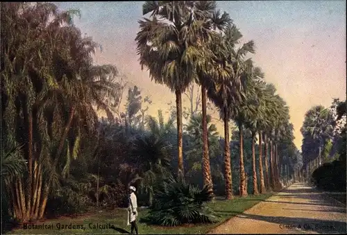Ak Calcutta Kolkata Kalkutta Indien, Botanical Gardens