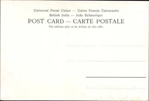 Ak Calcutta Kolkata Kalkutta Indien, Botanical Gardens