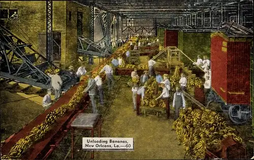 Ak New Orleans Louisiana USA, Unloading Bananas