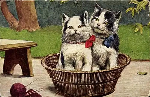 Künstler Ak Katzenpaar mit Schleifen in einem Korb