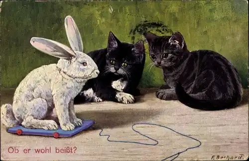 Künstler Ak Berhard, F., Kätzchen beobachten einen Spielzeug Hasen