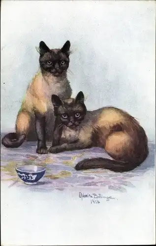 Künstler Ak Billinge, Ophelia, Zwei Siamkatzen, 1916