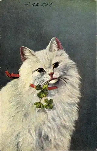 Künstler Ak Weiße Katze mit Kleeblättern im Maul