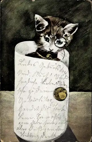 Künstler Ak Katze mit Monokel in einer Manschette