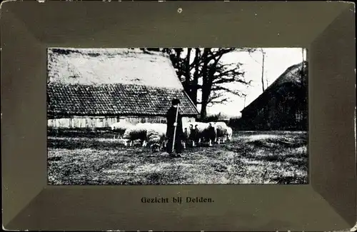 Ak Delden Gelderland, Schäfer mit Schafherde