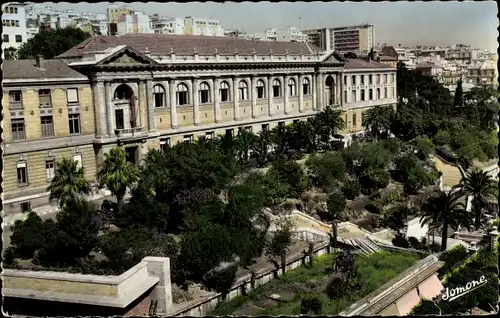 Ak Algier Alger Algerien, Les Facultés