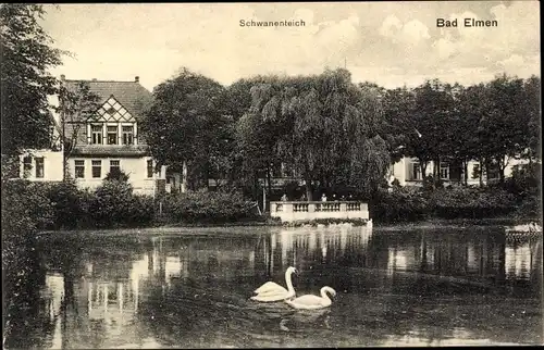 Ak Bad Elmen Schönebeck an der Elbe im Salzlandkreis, Blick auf Schwanenteich