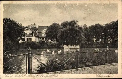 Ak Salzelmen Schönebeck an der Elbe, Blick auf den Schwanenteich