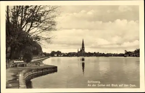 Ak Schleswig an der Schlei, Dom, Panorama