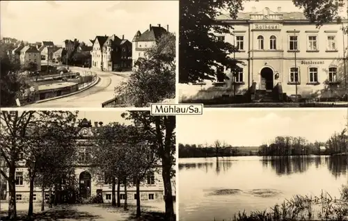 Ak Mühlau in Sachsen, Rathaus, See, Schule, Ortspartie