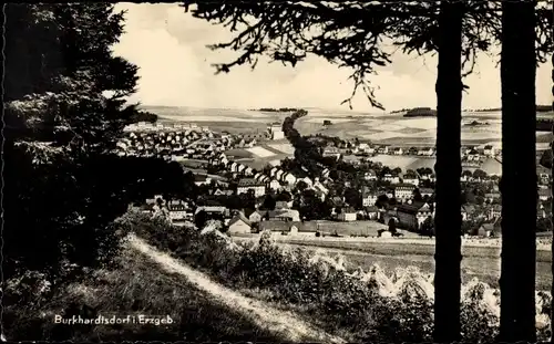 Ak Burkhardtsdorf im Erzgebirge, Panorama vom Wald aus