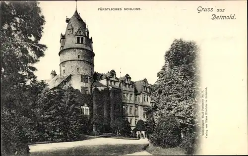 Ak Detmold, Fürstliches Schloss