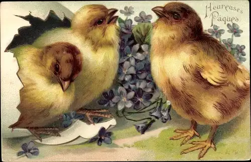 Präge Litho Glückwunsch Ostern, Küken, Osterei, Veilchen