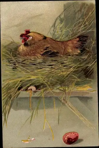 Präge Litho Henne legt Eier, Nest, Zerbrochenes Ei