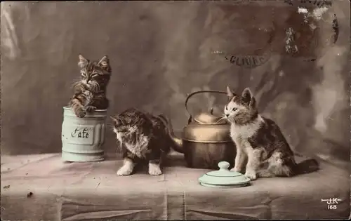 Ak Drei kleine Katzen, Kaffee, Wasserkessel