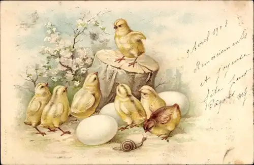 Litho Küken, Eier, Schnecke, Blumen