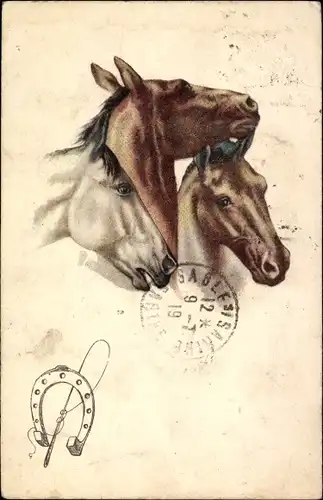 Ak Drei Pferde, Hufeisen, Tier-Portrait