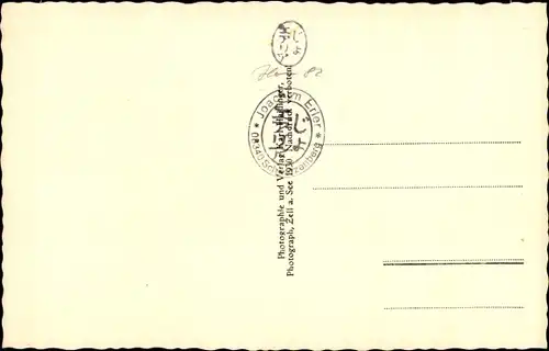 Ak Mittersill in Salzburg, Gesamtansicht, Felbertauern