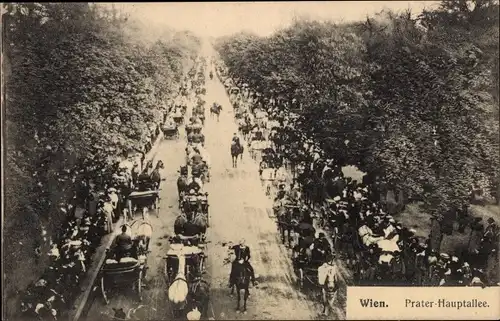 Ak Wien 2 Leopoldstadt, Prater, Hauptallee