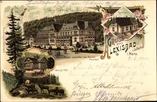Litho Alexisbad Harzgerode am Harz, Herzogl. Villa, Hirsche