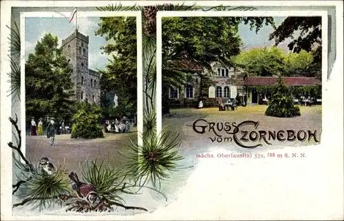 Ak Cunewalde im Kreis Bautzen, Gasthof, Inh. Ernst Kalauch, Aussichtsturm, Czorneboh