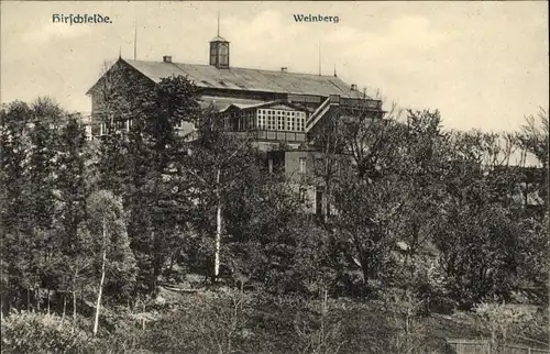 Ak Hirschfelde Zittau in Sachsen, Weinberg