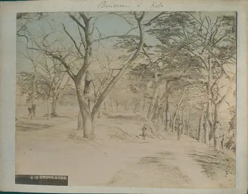 Foto Kobe Präf. Hyogo Japan, Grove