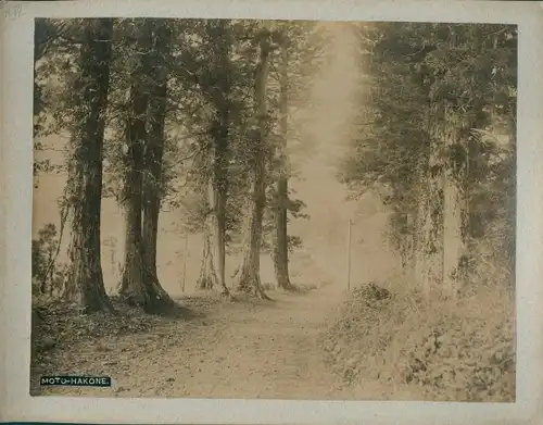 Foto Moto Hakone Präfektur Kanagawa Japan, street leading to the Torii