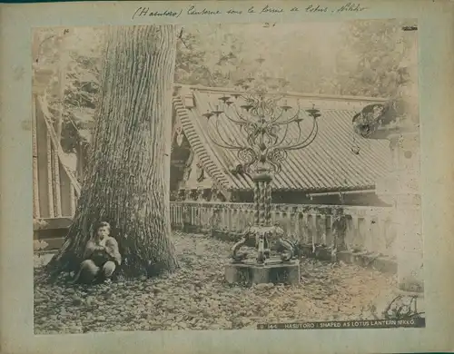 Foto Nikko Präfektur Tochigi Japan, Hasutoro shaped as Lotus