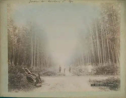 Foto Uji Präf. Kyoto Japan, Bamboo Garden, rickshaw