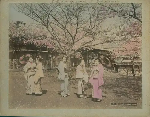 Foto Yokohama Präf. Kanagawa Japan, Noce Hill, Women wearing the kimono, Spring, cherry blossom