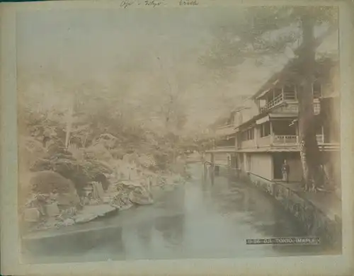 Foto Oji Tokio Präf. Tokio Japan, Maple trees, river scene