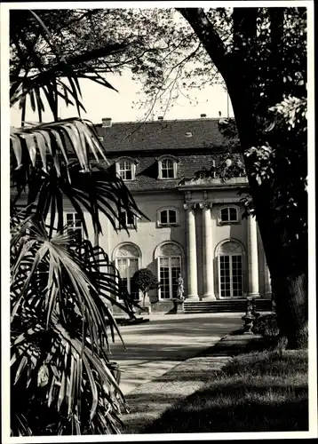 Foto Ak Dessau in Sachsen Anhalt, Gebäude, Statue