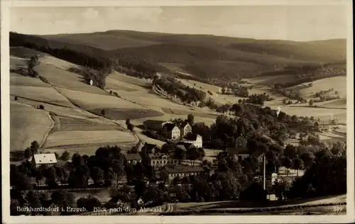 Ak Burkhardtsdorf im Erzgebirge, Blick nach dem Abtwald